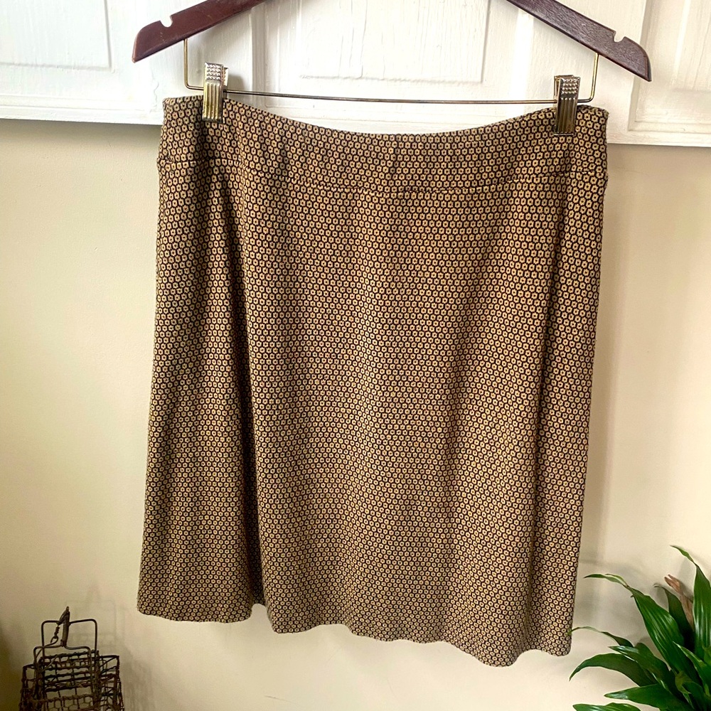 Matching Skirt and top